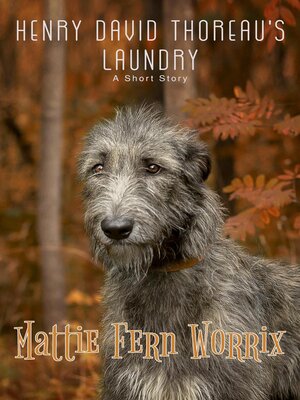 cover image of Henry David Thoreau's Laundry